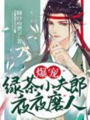 爆宠！绿茶小夫郎夜夜磨人